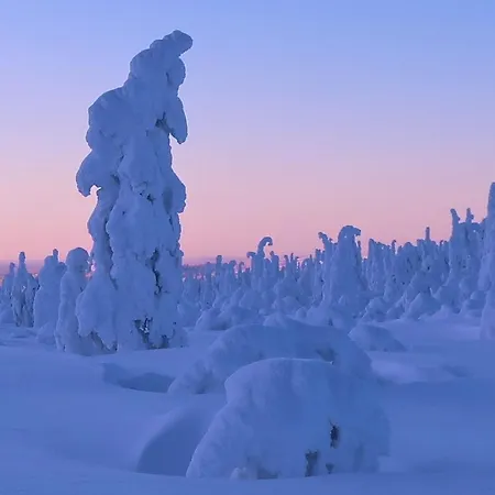 Seita Moekki, * Äkäslompolo