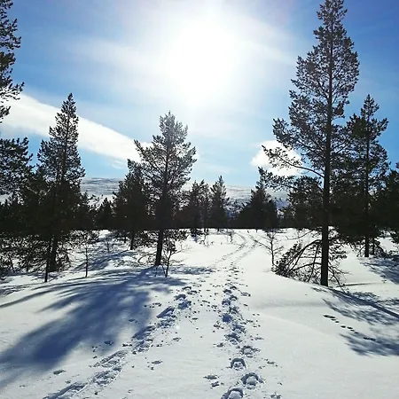 Seita Moekki, * Äkäslompolo