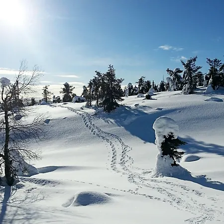 Seita Moekki, Tatil Evi *