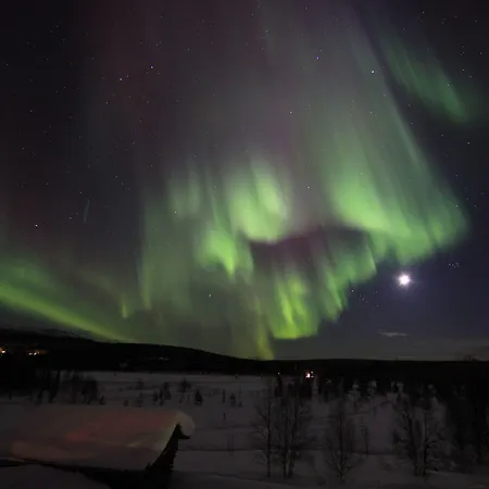 Tatil Evi Seita Moekki, *