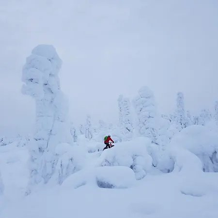 Seita Moekki, Tatil Evi *