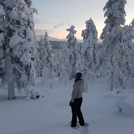 Tatil Evi Seita Moekki, *