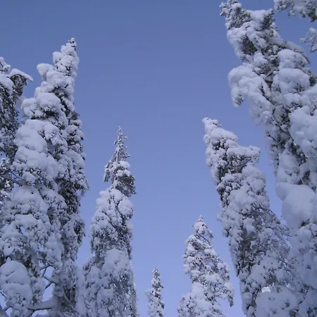 Seita Moekki, Holiday home