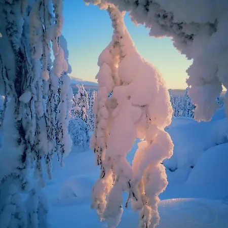 Loma-asunnot Seita Mökki, *