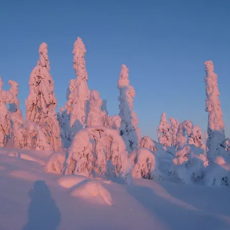 Seita Mökki,