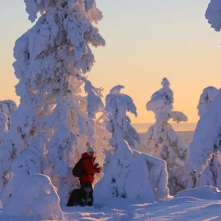 Seita Moekki, * Akaslompolo