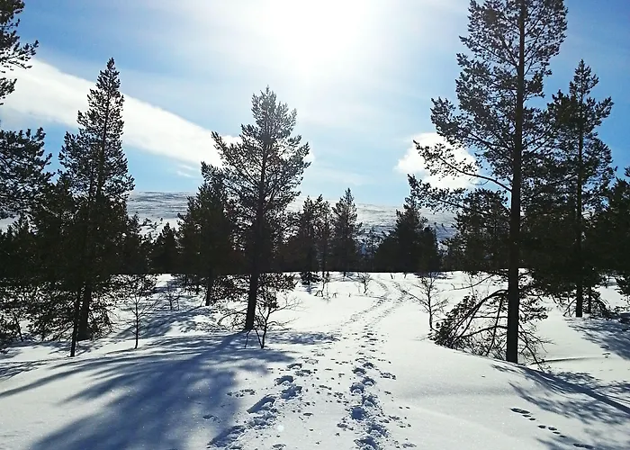 Seita Moekki, * Akaslompolo