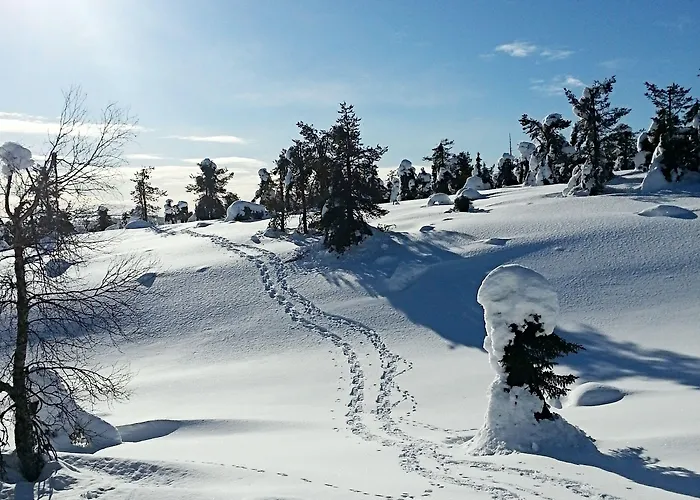 Seita Moekki, Holiday home *