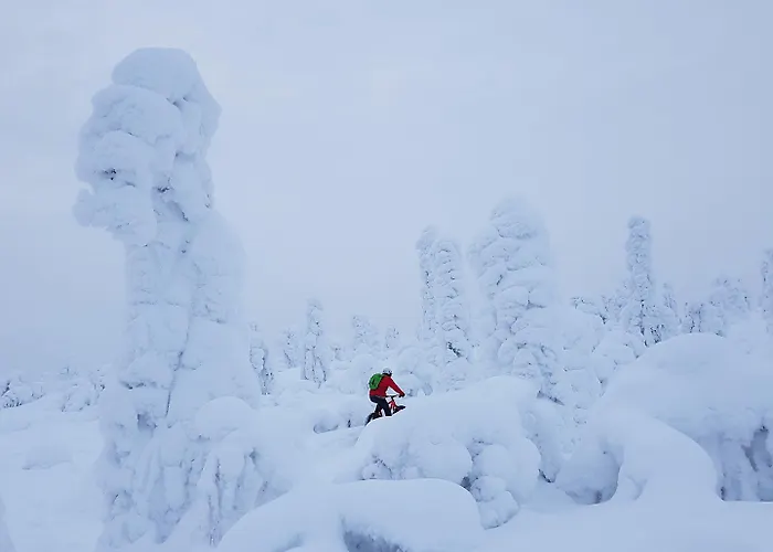 Seita Moekki, Holiday home *