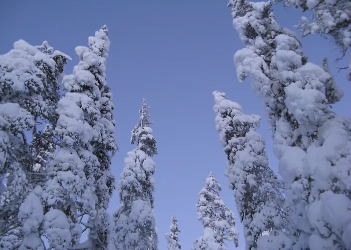 Seita Moekki, Holiday home